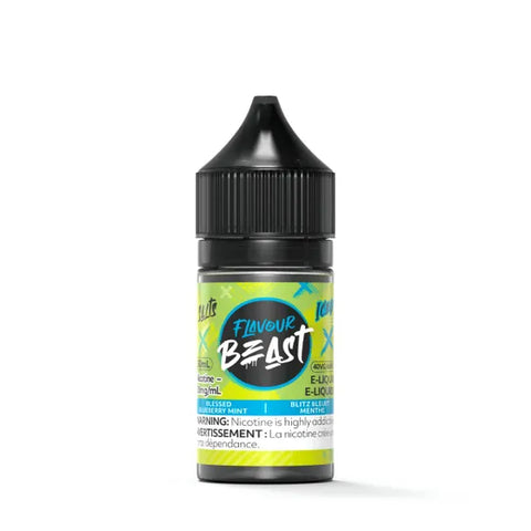 Blessed Blueberry Mint Iced Salt by Flavour Beast